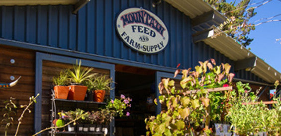 Herb Jelly  Mountain Feed & Farm Supply